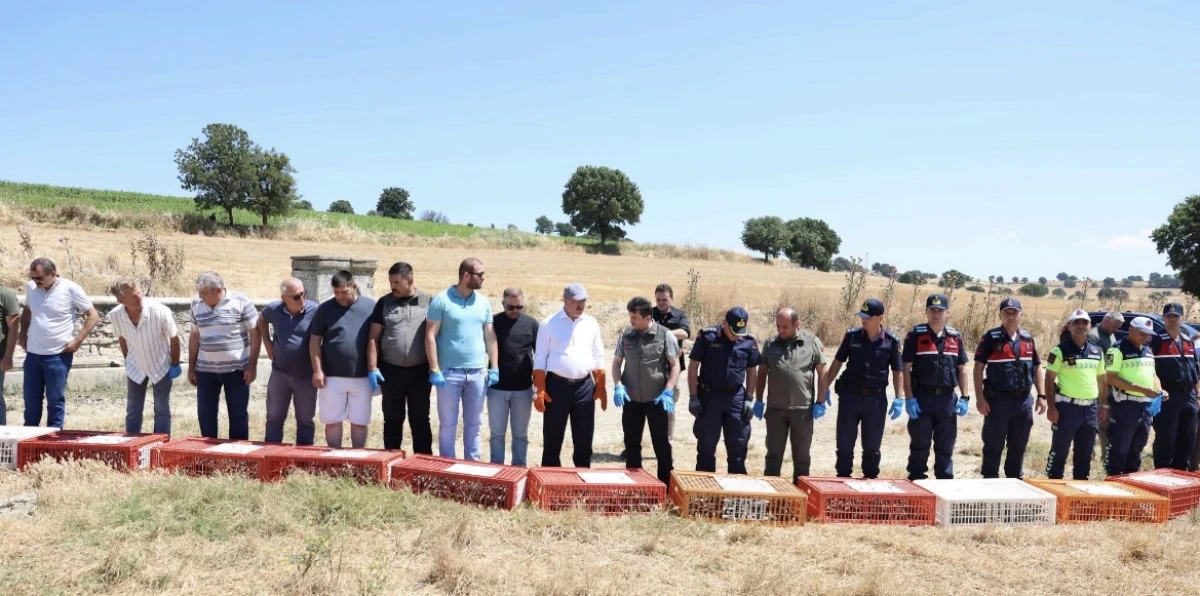 &Ccedil;anakkale&rsquo;de Keneyle M&uuml;cadele İ&ccedil;in Doğaya Bin Kınalı Keklik Bırakıldı