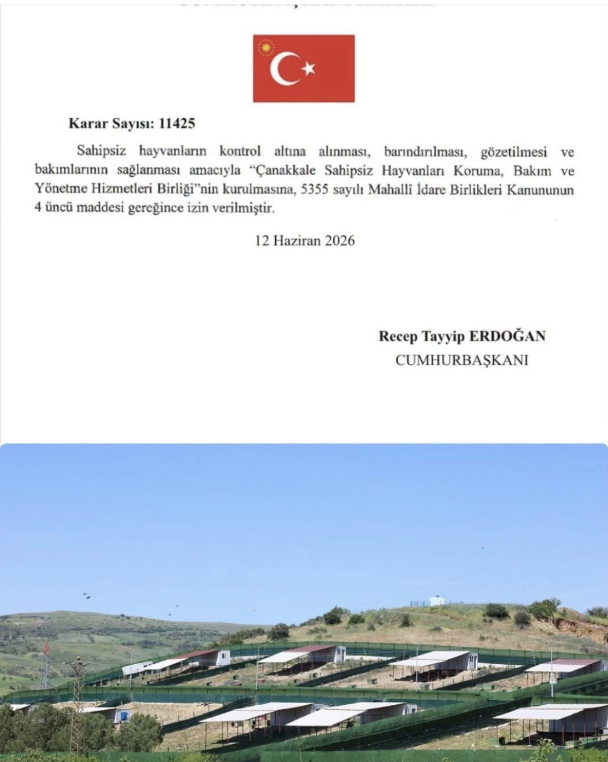 &Ccedil;anakkale&rsquo;de Sahipsiz Hayvanlar İ&ccedil;in Yeni D&ouml;nem: Hizmet Birliği Kuruldu
